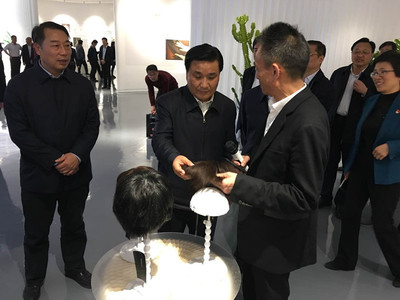 觀摩組走進建安區(qū) 聚焦瑞貝卡纖維材料產(chǎn)業(yè)園項目與室內(nèi)環(huán)境檢測