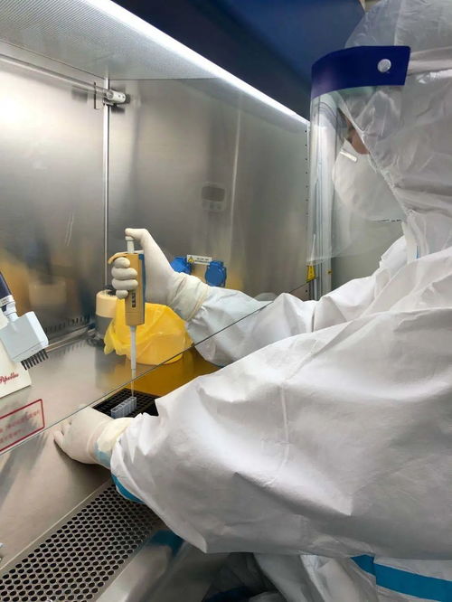 瀘西縣醫(yī)院24小時(shí)新冠病毒核酸檢測服務(wù)全流程指南